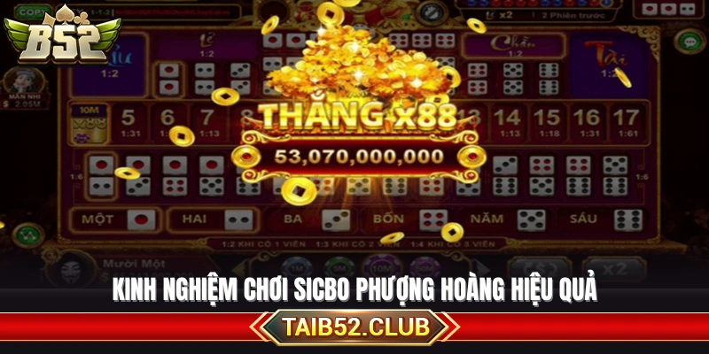 Bí quyết đặt cược Sicbo Phượng Hoàng đạt tỷ lệ thắng